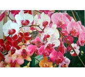 Tableau Flowers N° 1 - Antonina Levskaya