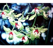Tableau Flowers N° 2 - Antonina Levskaya