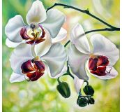 Tableau Flowers N° 4 - Antonina Levskaya