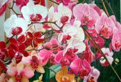 Tableau Flowers N° 1 - Antonina Levskaya