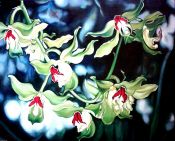 Tableau Flowers N° 2 - Antonina Levskaya