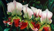 Tableau Flowers N° 7 - Antonina Levskaya
