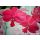Tableau Flowers N° 13 - Antonina Levskaya
